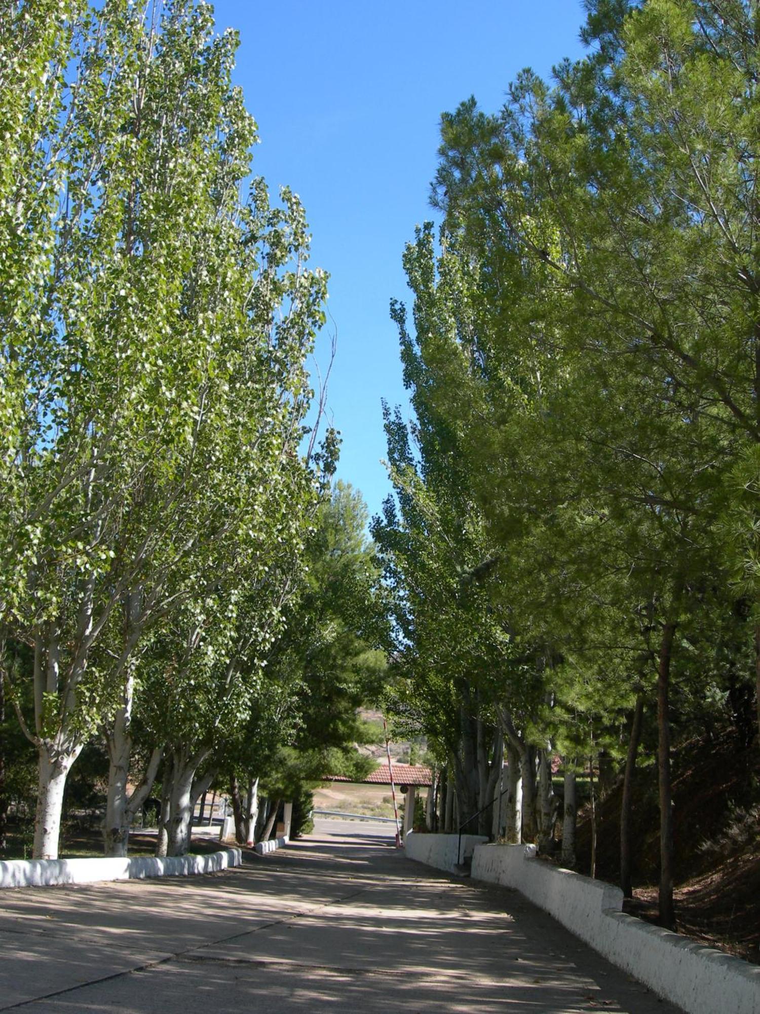 Lago Resort Nuévalos Buitenkant foto